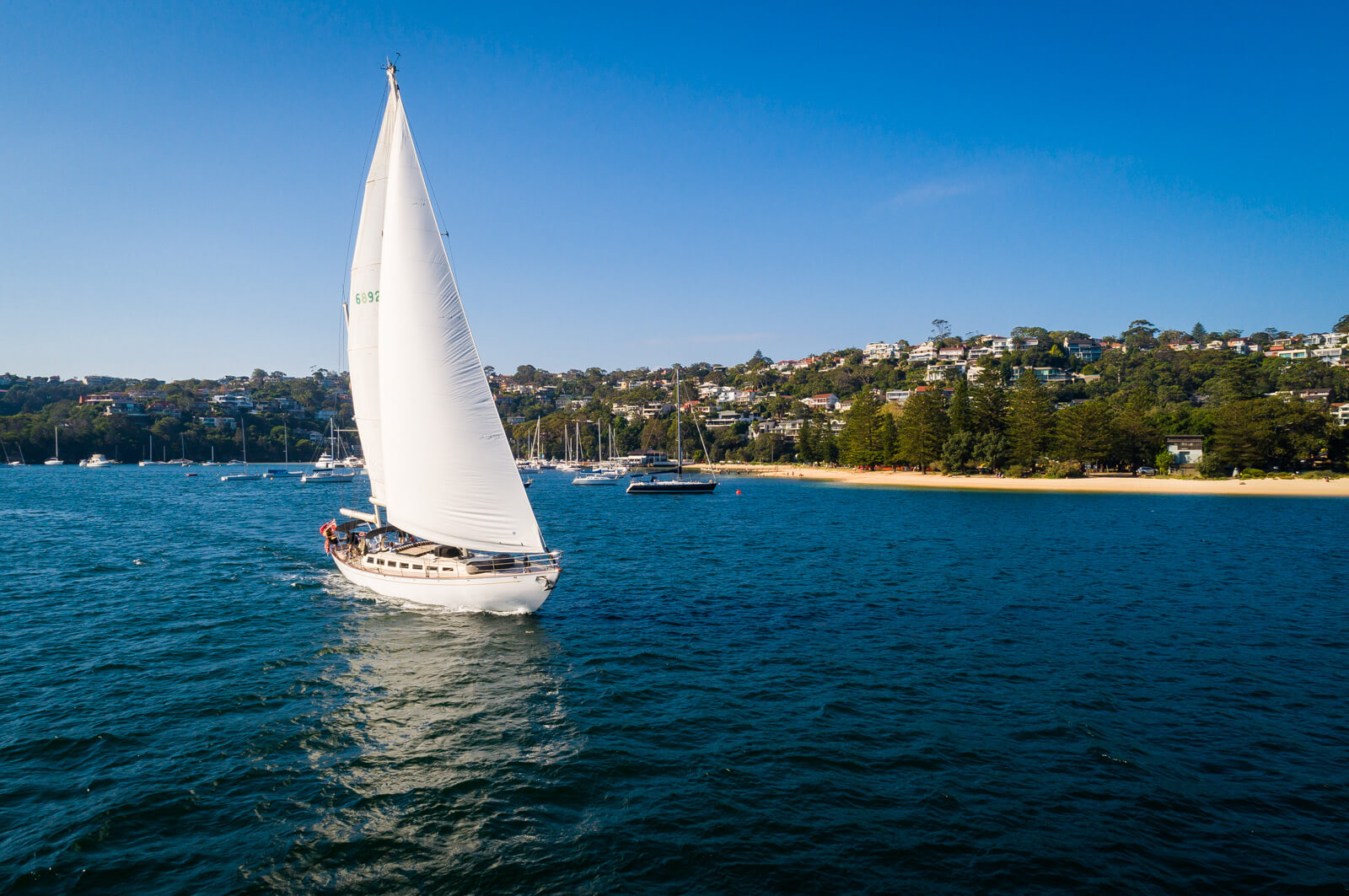 A white sailboat glides on blue water near a sandy beach, with a shoreline lined with trees, houses, and anchored boats under a clear blue sky.