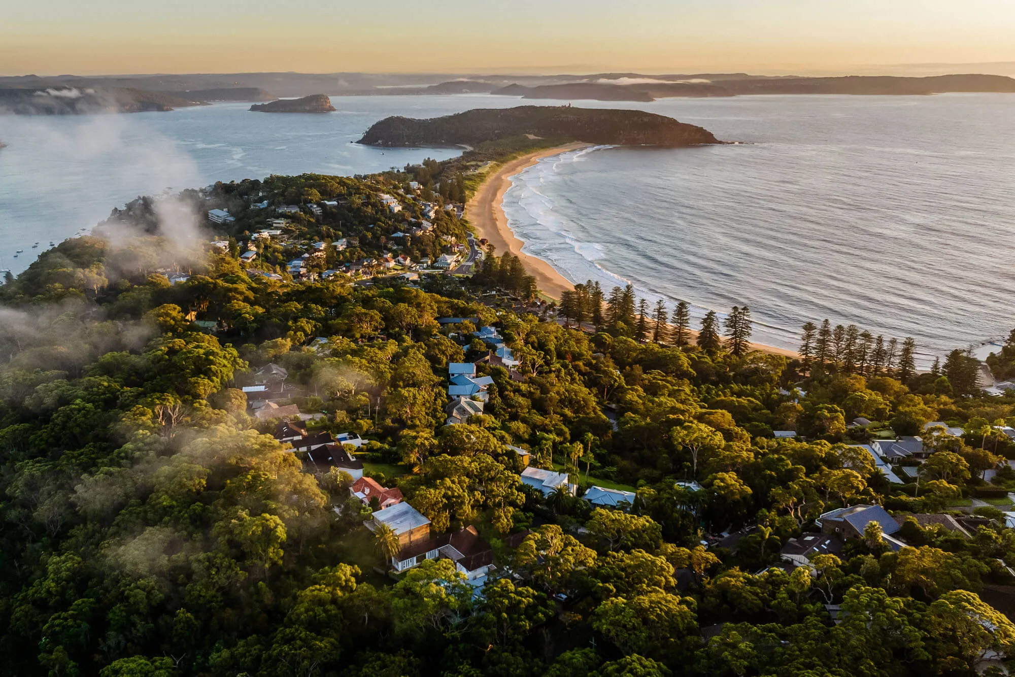 Aerial view of a coastal town near Sydney, with dense green trees, scattered houses, and a long sandy beach curving along the shoreline—captured in a stunning real estate drone video under a golden sunrise or sunset sky.